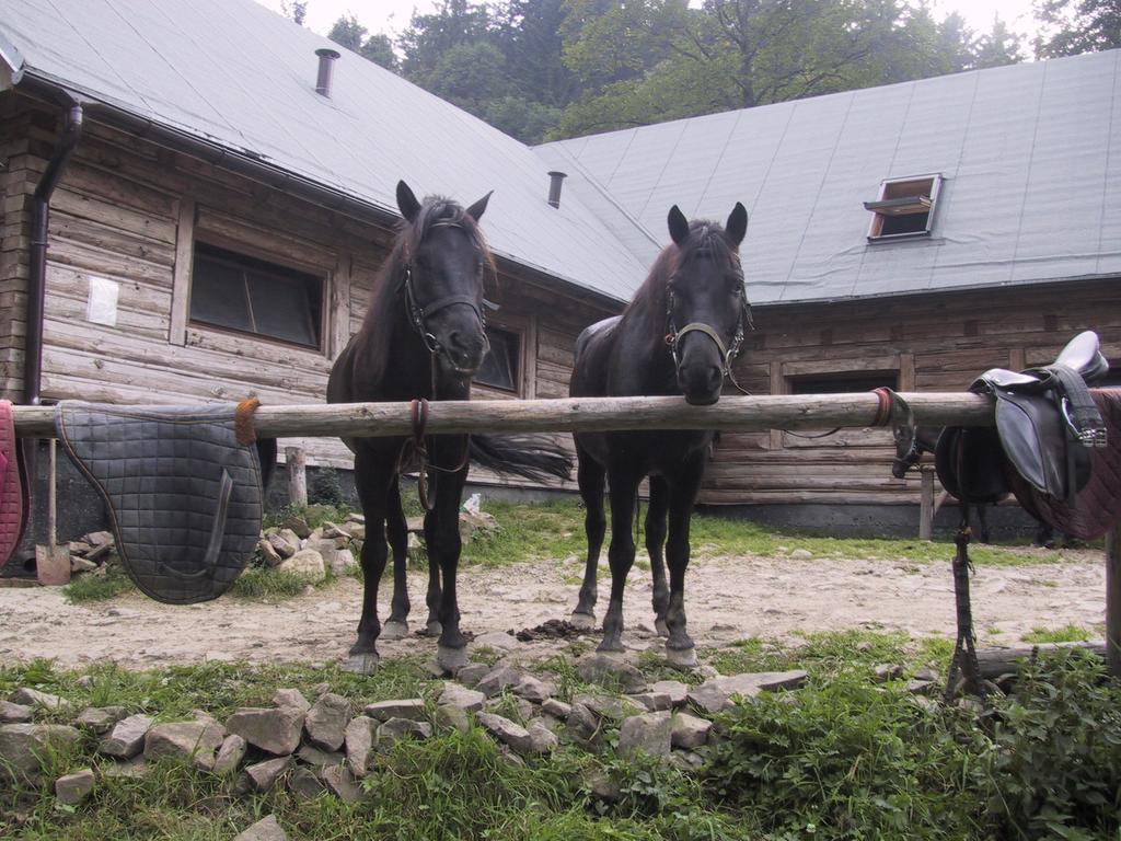 Ośrodek Beskid Fizjo&SPA Korbielów Exterior foto